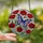 Nature Lovers' Iridescent Butterfly Stained Glass Art with Red Poppies & Mosaic Background Stained Glass Suncatcher - 1oiIbr8aGI