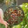 Nature Lovers' Vibrant Tiffany Stained Glass Woodland Mushroom & Floral Mosaic Pattern in Fiery Orange, Emerald Green, Cream Jewel Tones Stained Glass Suncatcher - 1