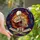 Art Lovers' Intricate Tiffany Stained Glass Skeleton Reading Book Celestial Nebula Mosaic in Jewel Tones Stained Glass Suncatcher - 1