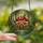 Cottagecore Fans' Vibrant Tiffany Stained Glass Mushroom House Enchanted Forest Mosaic Stained Glass Suncatcher - g0Wy-HHKhN