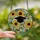 Graduation Celebrants' Tiffany Style Stained Glass Gold Tassel Cap Sunflowers Jewel Tone Mosaic Stained Glass Suncatcher - 2