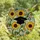 Graduation Celebrants' Tiffany Style Stained Glass Gold Tassel Cap Sunflowers Jewel Tone Mosaic Stained Glass Suncatcher - 4