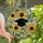 Graduation Celebrants' Tiffany Style Stained Glass Gold Tassel Cap Sunflowers Jewel Tone Mosaic Stained Glass Suncatcher - 1