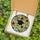 Graduation Celebrants' Tiffany Style Stained Glass Gold Tassel Cap Sunflowers Jewel Tone Mosaic Stained Glass Suncatcher - 5