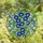 Nature Lovers' Vibrant Blue Morning Glory Tiffany Stained Glass Emerald Green Floral Mosaic Stained Glass Suncatcher - hEcI-N6mXq