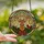 Christmas Art Lovers' Intricate Tiffany Stained Glass Reindeer Head, Golden Amber Red Holly Wreath, Plaid Bow, Winter Mosaic Art Stained Glass Suncatcher - 2