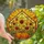 Autumn Garden Enthusiasts' Radiant Tiffany Stained Glass Sunflower & Pumpkin Mosaic Stained Glass Suncatcher - 1