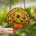 Autumn Garden Enthusiasts' Radiant Tiffany Stained Glass Sunflower & Pumpkin Mosaic Stained Glass Suncatcher - 2