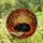 Cat Lovers' Tiffany Stained Glass Black Cat Sleeping Book Autumn Leaves Jewel Tone Mosaic Stained Glass Suncatcher - lNiZIMDb3m