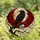 Dark Aesthetic Fans' Vivid Tiffany Style Raven, Skull & Moon Stained Glass Mosaic Stained Glass Suncatcher - 4