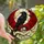 Dark Aesthetic Fans' Vivid Tiffany Style Raven, Skull & Moon Stained Glass Mosaic Stained Glass Suncatcher - 1