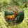 Nature Lovers' Majestic Elk Stag Golden Amber Tiffany Style Stained Glass Forest Mountain Art Stained Glass Suncatcher - uOm_nlQOFJ