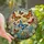 Art Enthusiasts' Vibrant Stained Glass Monarch & Morpho Butterflies with Daisy & Blossom Floral Mosaic in Jewel Tones Stained Glass Suncatcher - y4gSNXe0J6