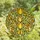 Art Lovers' Vibrant Tiffany Stained Glass Cascading Yellow White Green Tulips Intricate Botanical Mosaic Stained Glass Suncatcher - 4