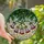 Art Lovers' Stained Glass Bell Flower Mosaic Design Deep Purple Emerald Green Sky Blue Stained Glass Suncatcher - 1
