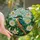 Nature Lovers' Iridescent Kingfisher Bird Tiffany Glass Floral Mosaic Stained Glass Suncatcher - 1
