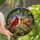 Nature Lovers' Vibrant Tiffany Stained Glass Cardinals Autumn Mosaic Red Blue Green Purple Stained Glass Suncatcher - BXqGpnGx8o