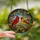 Nature Lovers' Vibrant Tiffany Stained Glass Cardinals Autumn Mosaic Red Blue Green Purple Stained Glass Suncatcher - Ydn3pj2ApB