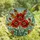Botanical Art Lovers' Glowing Stained Glass Poppies Floral Teal Red Blue Mosaic Stained Glass Suncatcher - 4