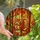 Nature Lovers' Vibrant Tiffany Stained Glass Squirrel Acorn Autumnal Jewel Tones Stained Glass Suncatcher - 1