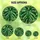 Botanical Lovers' Jewel Tone Stained Glass Monstera Leaf Intricate Foliage Stained Glass Suncatcher - 6