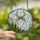 Nature Lovers' Intricate Tiffany Stained Glass Spider & Snake Plant Jewel Tone Mosaic Stained Glass Suncatcher - 2