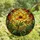 Art Enthusiasts' Vibrant Tiffany Stained Glass Yellow Flower Garden Mosaic Green Leaves Orange Buds Stained Glass Suncatcher - 4
