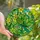 Bird Lovers' Stained Glass Budgie Emerald Green Teal Yellow Tropical Mosaic Art Stained Glass Suncatcher - 1