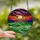 Vibrant Art Lovers' Tiffany Stained Glass Golden Sun Moon Geometric Village Emerald Purple Hot Pink Mosaic Stained Glass Suncatcher - 2