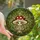 Whimsical Art Lovers' Intricate Stained Glass Mushroom Forest Mosaic Tiffany Art Red Cream Stained Glass Suncatcher - 1