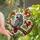 Bird Lovers' Vibrant Tiffany Style African Grey Parrot Stained Glass Mosaic with Autumnal Foliage Stained Glass Suncatcher - 1