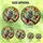 Bird Lovers' Vibrant Tiffany Style African Grey Parrot Stained Glass Mosaic with Autumnal Foliage Stained Glass Suncatcher - 6