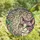 Cat Lovers' Curious Lavender Cat Emerald Eyes Stained Glass Swirling Leaf Mosaic Art Stained Glass Suncatcher - 4