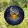 Halloween Enthusiasts' Tiffany Style Stained Glass Jack-o'-Lantern Bat Wing Mosaic Orange Green Pattern Stained Glass Suncatcher - 4