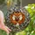 Nature Lovers' Tiffany Stained Glass Foxes Heart Jewel Tones Intricate Mosaic Art Stained Glass Suncatcher - D3_GWWbJZI