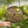 Nature Lovers' Tiffany Style Stained Glass Solitary Canoe Paddler Yellow Amber Cloud Mosaic Stained Glass Suncatcher - 2