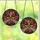 Art Enthusiasts' Intricate Tiffany Stained Glass Death's-head Hawkmoth Cosmic Dust Mosaic Jewel Tones Stained Glass Suncatcher - 3