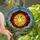 Art Lovers' Tiffany Style Stained Glass Sun Sky Mosaic Vibrant Yellow Red Orange Stained Glass Suncatcher - 1