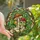 Art Lovers' Tiffany Stained Glass Enchanted Woodland Mushroom Hand Jewel Tones Art Stained Glass Suncatcher - 1
