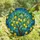 Art Lovers' Tiffany Stained Glass Lemon Tree Branch, Ripe Yellow Fruit, Emerald Leaves, Teal Mosaic Sky, Jewel Tones Stained Glass Suncatcher - lKtFPItrnW