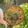Nature Lovers' Tiffany Stained Glass Succulent Cactus Basket Mosaic Emerald Golden Orange Stained Glass Suncatcher - 1