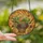 Nature Lovers' Tiffany Stained Glass Succulent Cactus Basket Mosaic Emerald Golden Orange Stained Glass Suncatcher - 2
