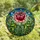 Nature Enthusiasts' Vibrant Pink Red Rose Intricate Tiffany Stained Glass Botanical Mosaic Stained Glass Suncatcher - 4