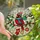 Christmas & Nature Lovers' Vibrant Tiffany Stained Glass Cardinal Bobble Hat Argyle Scarf Winter Forest Jewel Tones Stained Glass Suncatcher - 0BMvV7Qhsz