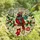 Christmas & Nature Lovers' Vibrant Tiffany Stained Glass Cardinal Bobble Hat Argyle Scarf Winter Forest Jewel Tones Stained Glass Suncatcher - tD_NWyzycH