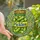 Pickle Lovers' Tiffany Inspired Stained Glass Dill Pickle Jar Art, Vibrant Green & Golden Yellow Mosaic Stained Glass Suncatcher - 0vrlEsjyBb