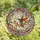Nature Lovers' Tiffany Stained Glass Hummingbird Crescent Moon Pink Cherry Blossom Jewel Tone Mosaic Pattern Stained Glass Suncatcher - 4