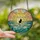 Cat Lovers' Stained Glass Black Cat Crescent Moon Ocean Aqua Emerald Gold Sky Sunrise Mosaic Stained Glass Suncatcher - gBFZ1HRAH5