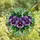 Floral Art Lovers' Tiffany Stained Glass Purple Violet Pansy Jewel Tone Mosaic Stained Glass Suncatcher - 4