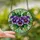 Floral Art Lovers' Tiffany Stained Glass Purple Violet Pansy Jewel Tone Mosaic Stained Glass Suncatcher - 2